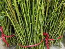 天狮娱乐注册——玩转精彩娱乐之旅 天狮娱乐注册——玩转精彩娱乐之旅