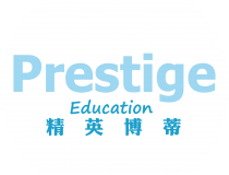 正点娱乐：打造娱乐圈新时代